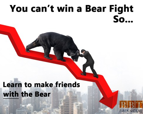 Bear fight